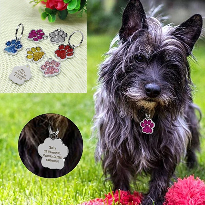 Персонализированная бирка для ошейника собак адресные бирки питомцев имя