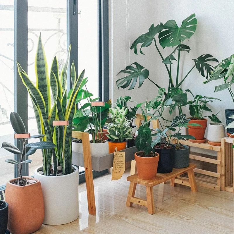 

20Pcs Metal Plant Markers Waterproof Plant Tags Labels Garden Nursery Markers Bonsai Gardening Label for Garden