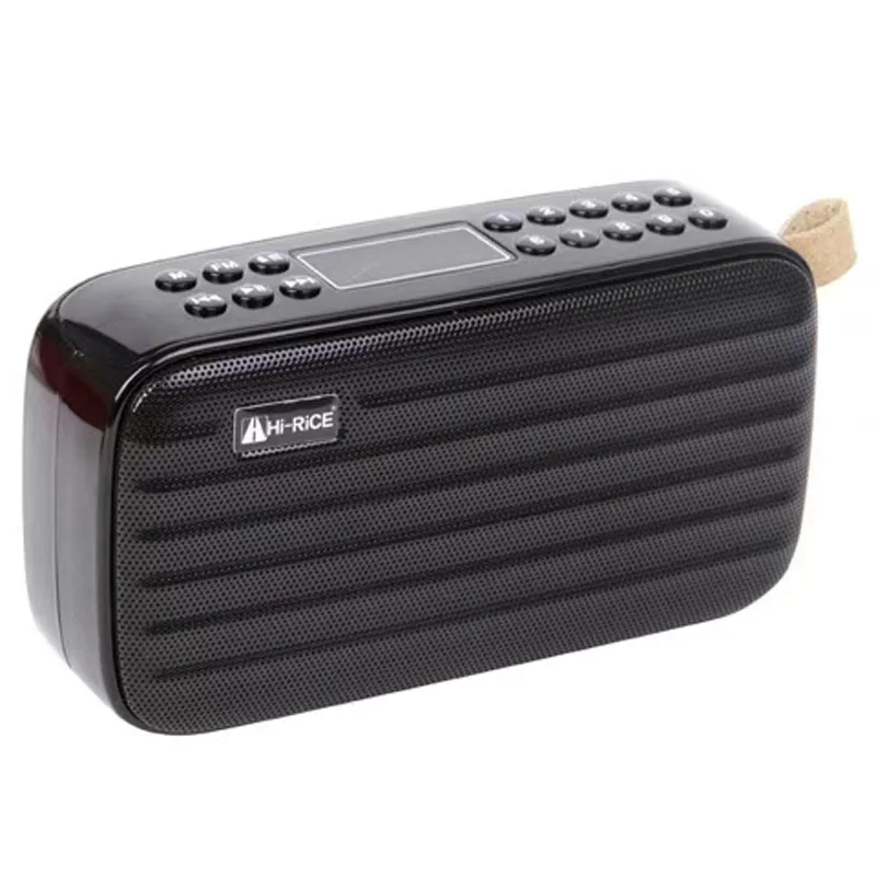 REC LED портативный FM/AM радио USB TF карта MP3 плеер цифровой динамик Bluetooth Hi Rice SD