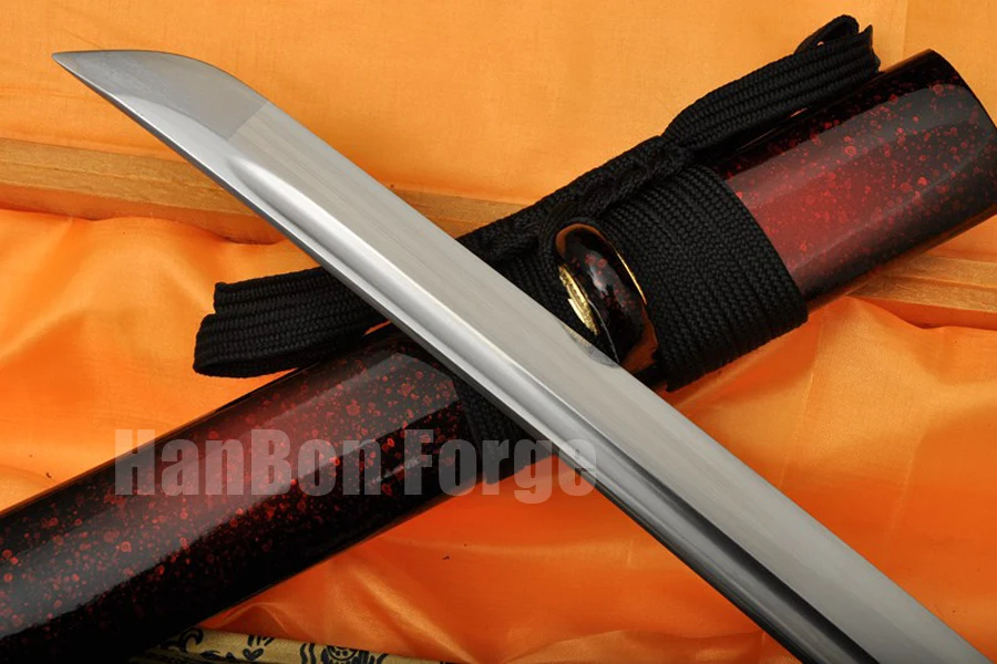 

Japanese Katana Sword Hand Forged 1060 High Carbon Steel Blade Hand Polished Samurai Sword With Alloy Tsuba