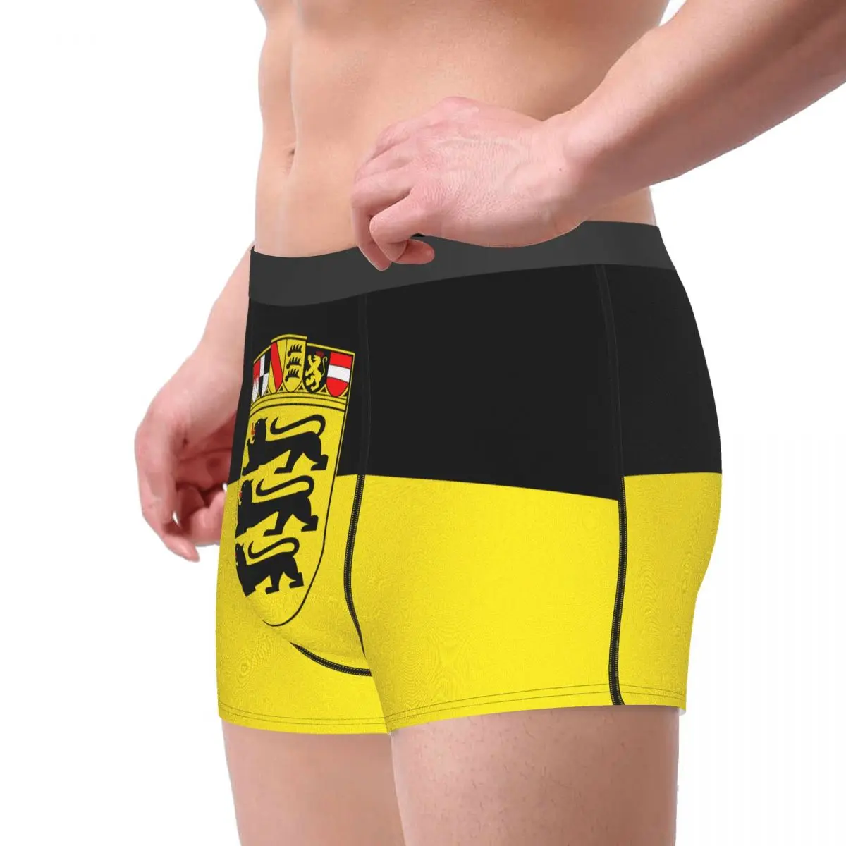 Flag Of Baden-Württemberg (state, Greater Arms) Men's Boxer Briefs German states Humor Graphic Men's boxer leggings
