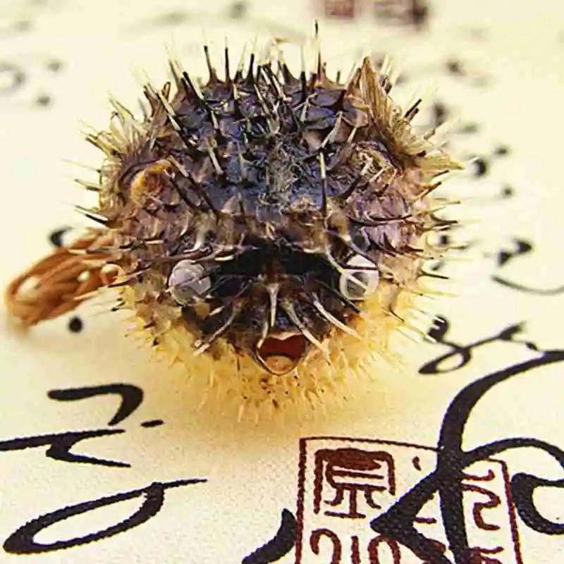 Воздушный барабан для рыбы образец морской свиньи с бамбуковой тканью подвеска в