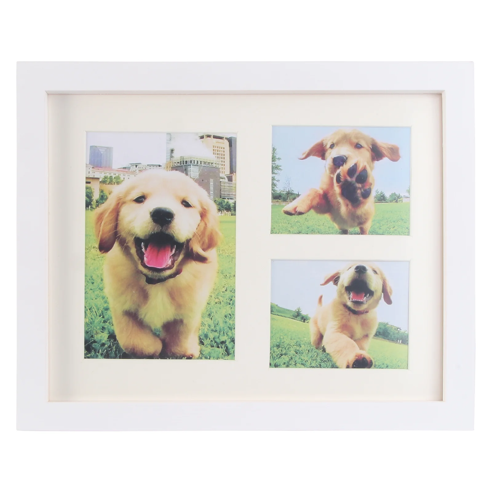 

1 шт., фоторамка для домашних животных