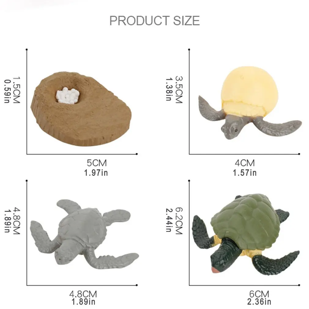 

Animals Growth Cycle Life Cycle Model Set Frog Ant Mosquito Sea Turtle Simulation Model Action Figures Teaching Material For Kid