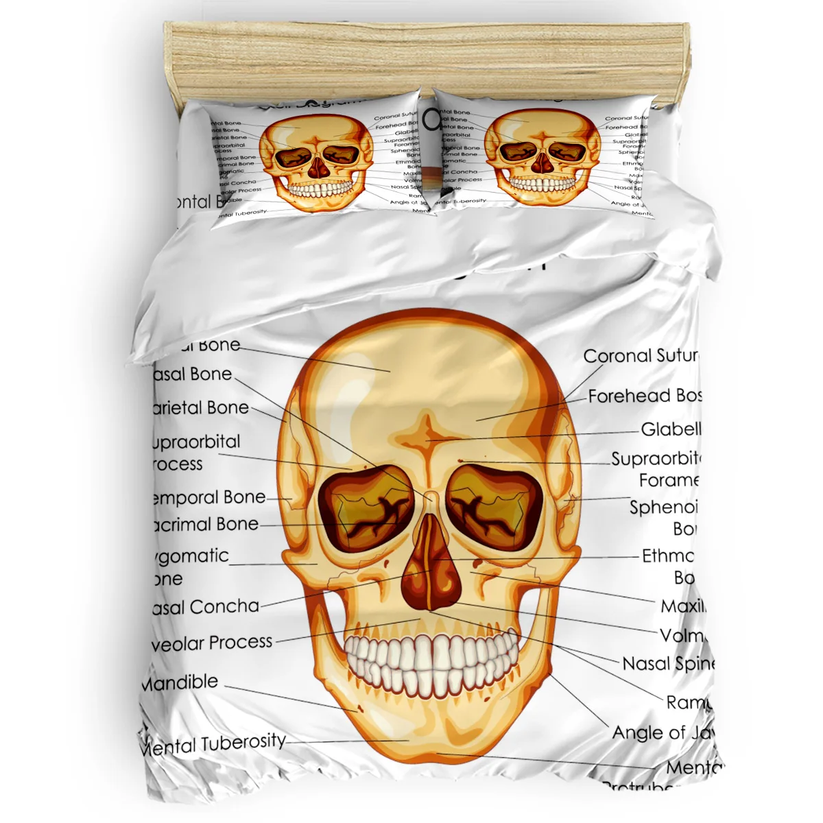 

Череп Пособия по биологии постельное белье теплые и удобные Постельное белье Спальня поставки Спальня набор стеганых одеял 2/3/4 шт.