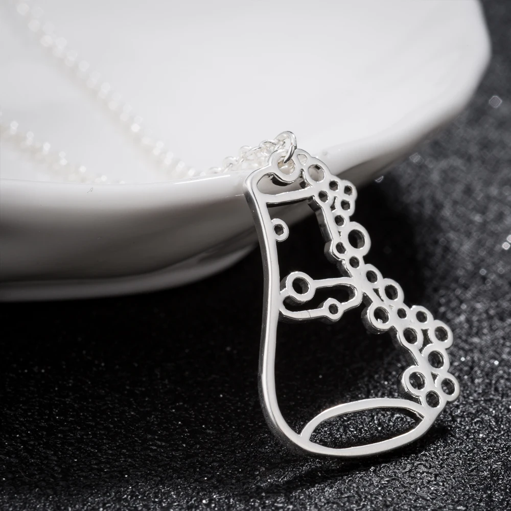 

Stainless Steel Trendy Erlenmeyer Flask Necklace Potion Bottle Chemistry Laboratory Graduation Gift Conical Jewelry Accessories