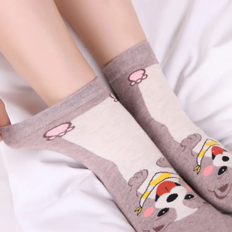 

New Creative Cute Funny Socks Pug/Dog Jacquard Painting Meias Divertidos Animals Socks Women Skarpetki Damskie Calcetines Mujer