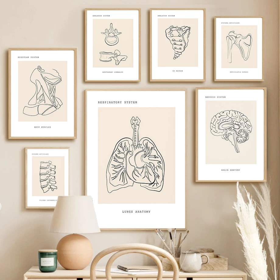 

Heart Brain Lungs Spine Skeletal Neck Organ Anatomy Art Canvas Painting Medical Poster And Prints Wall Pictures For Clinic Decor