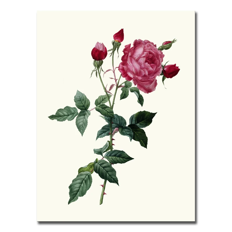 

Europe Style Beautiful Rose Picture Frameless Canvas Painting for Home/Bar Decor Wall Hanging Bedroom Decorative Pictures