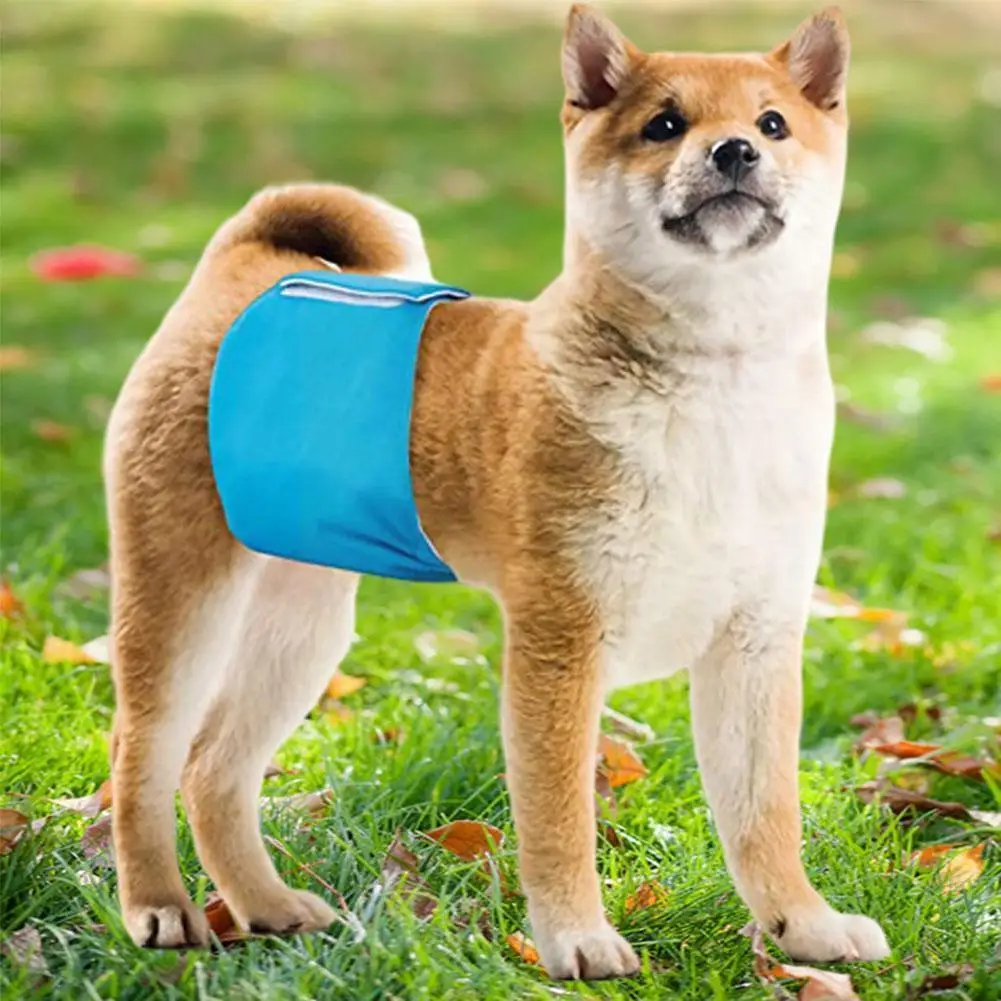 

Трусы-подгузники W1g0 мужские, хлопок, 4 размера, нижнее белье для живота, для щенков, физиологические