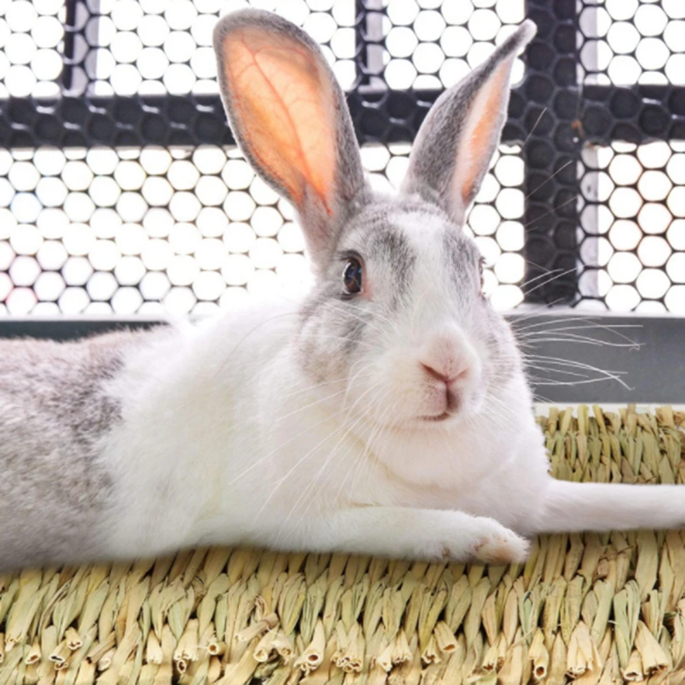 

5pcs small animal lawn mat woven mattress rabbit bedding nest chew toy bed toy suitable for guinea pig parrot rabbit hamster