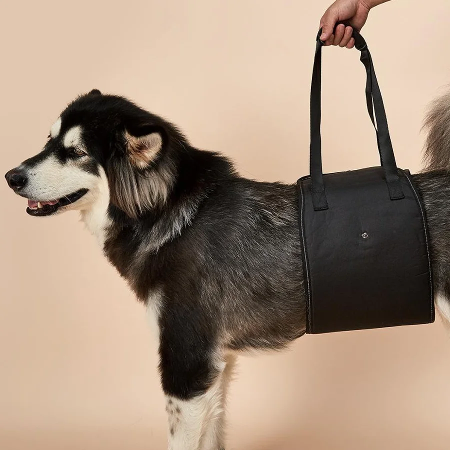 Регулируемые ремни для подтяжки собак повязка на голову прогулок с собаками