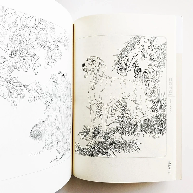 Книжка-раскраска для взрослых с китайскими линиями 16K 5000 г. | Канцтовары офиса и