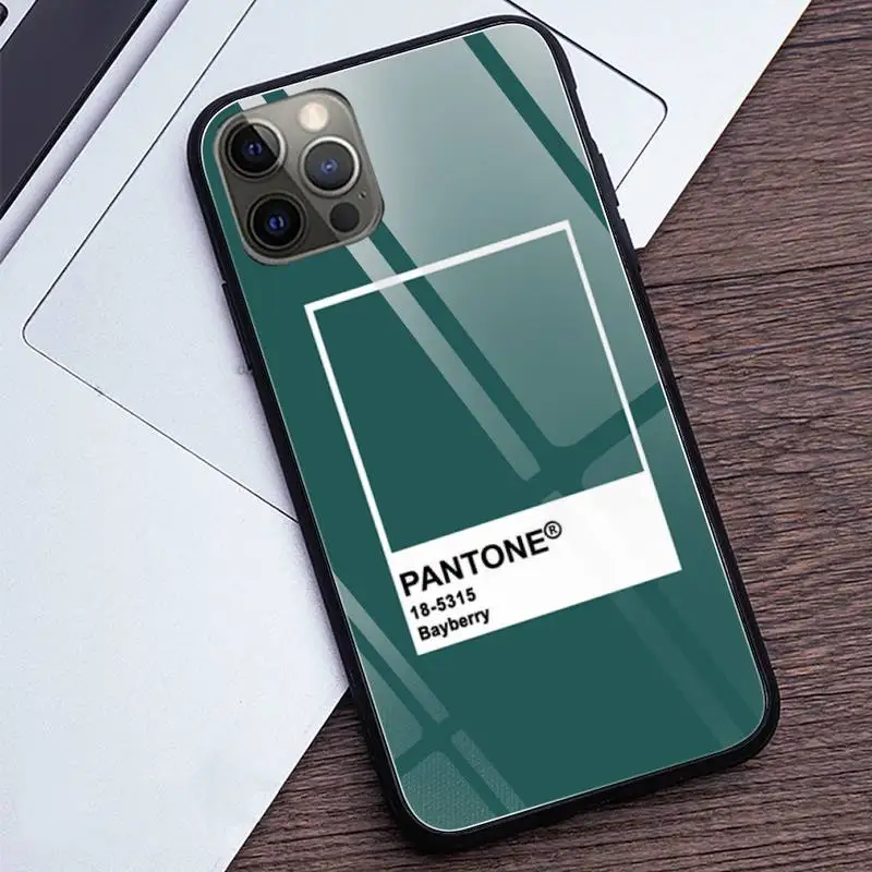 Pantone Color Card Phone Case Tempered Glass For iphone 11 iPhone 12 11 Pro Max Mini XR XS MAX 8 X 7 6S 6 Plus 2020 phone cases images - 6