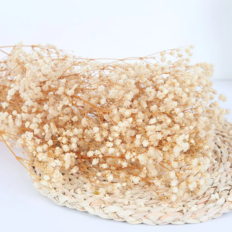 

Valentines Flower Bouquets Gift For Wedding Decoration Natural Fresh Dried Preserved Flowers Gypsophila Paniculata Home Decor