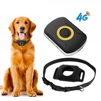 4g pet gps tracker waterproof gps dog collar mini cat gps locator anti lost alarm tracker support geo fence sos gps perro