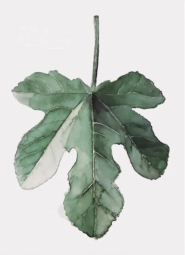 8 Monstera Deliciosa листья стены Искусство Холст Живопись зеленый стиль растение скандинавские плакаты и принты картина Современное украшение дома - Цвет: 8