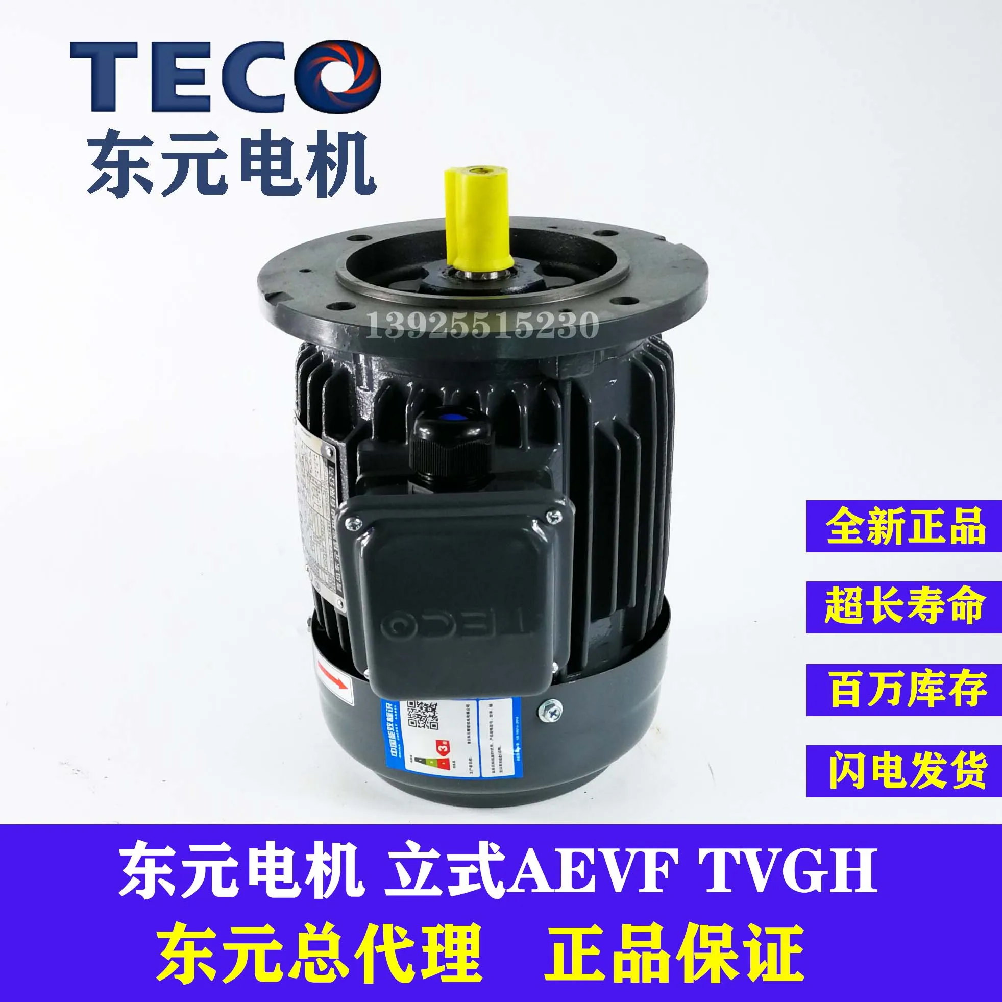 

0.18KW 0.37KW 0.75KW 1.5KW vertical AEVF TVGH brake brake