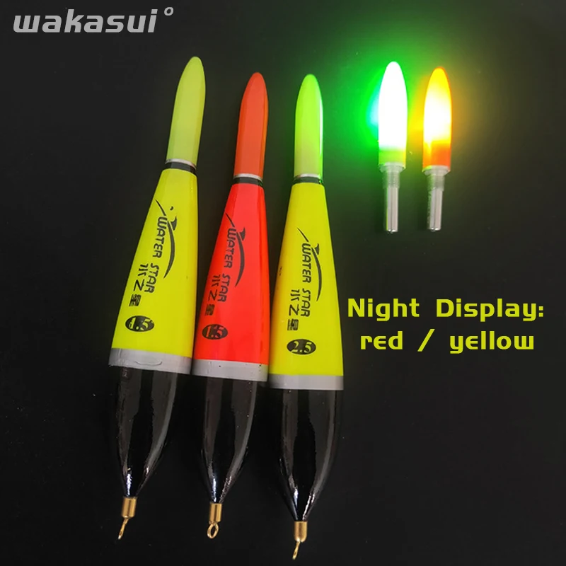 New 2Pcs/Lot Carp Fishing Floats Accessories Float Luminous Electric For Fishing In Summer Sea Striped-Bass Outdoor Tools