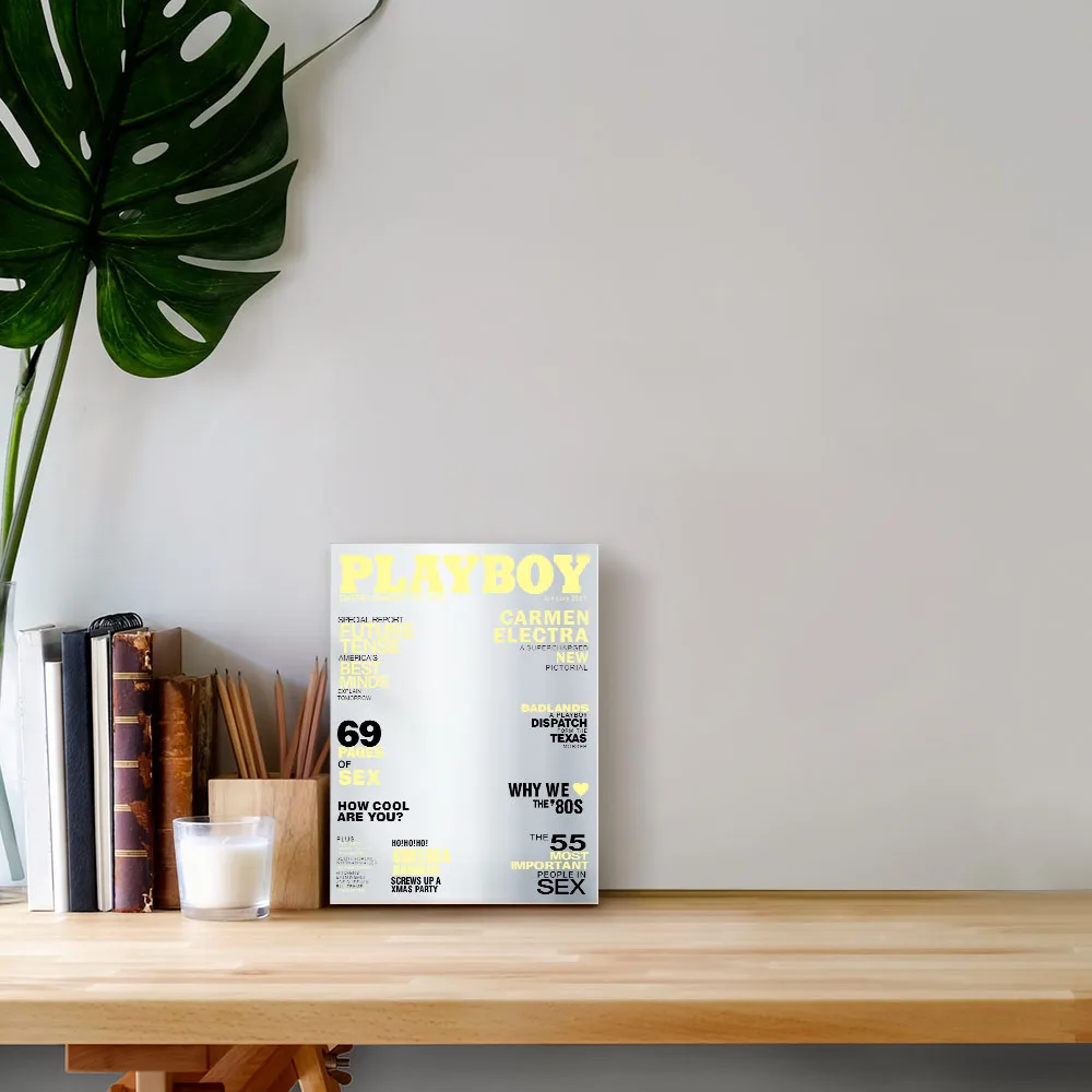 Чехол для журналов Playboy настенное зеркало Обложка новинка слайк шаблоны