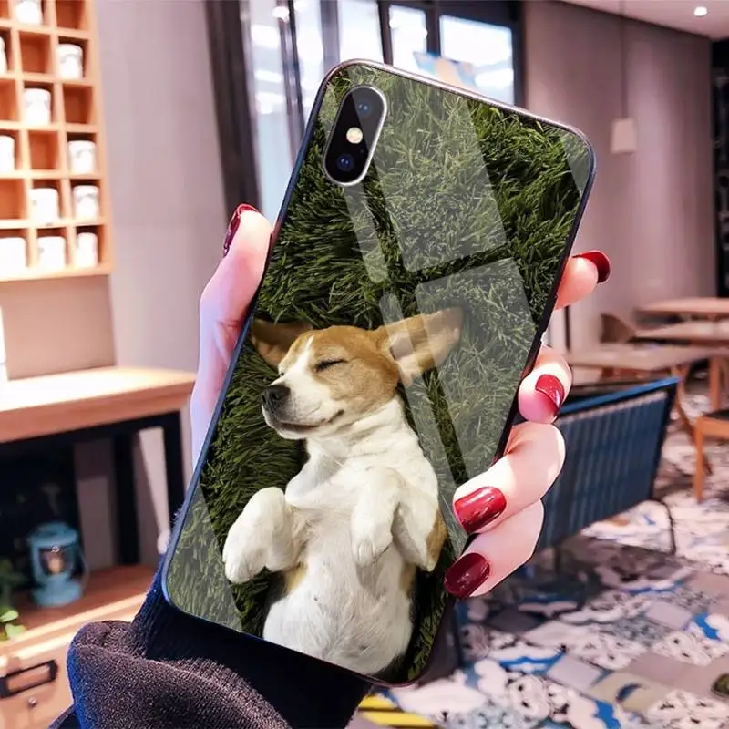 

MaiYaCa All kinds of posts of beagle Bling Cute Phone Case for iPhone8 6 7 plus X XS XR XS MAX 11 pro max
