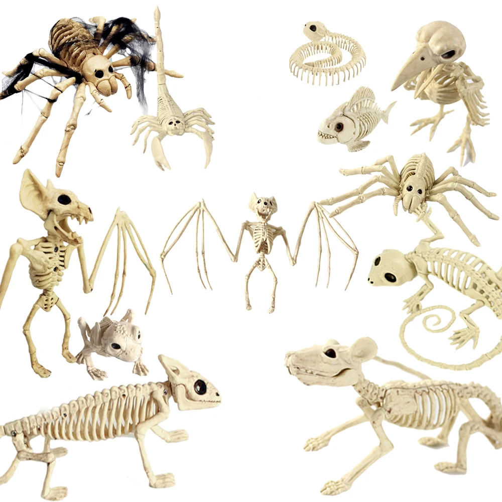 

Halloween Decoration Animal Skeleton Hallowmas House Party Ornament Horror Spider Bat Mouse Scorpion Bones Model Lifelike