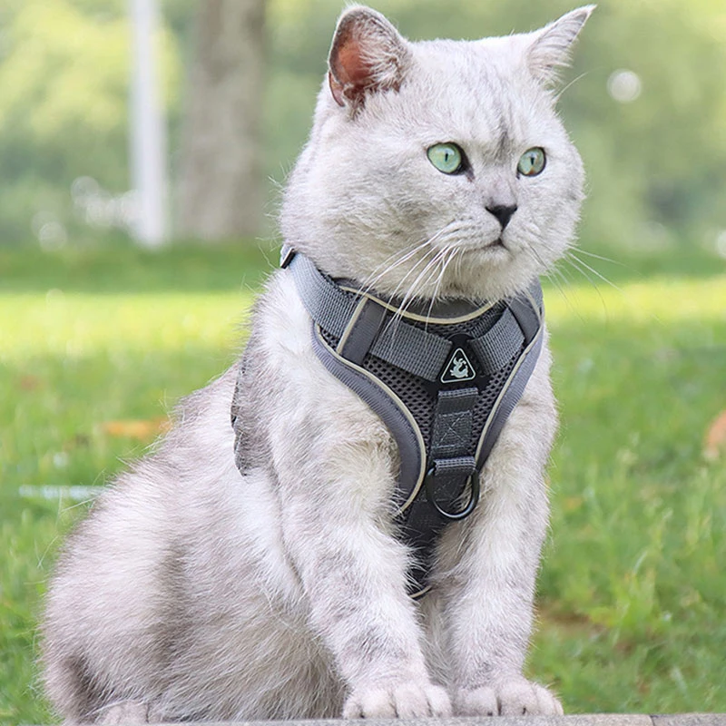 

Vest-style Pet Chest Strap Cat Harness Leash Set Reflective Strip Adjustable Soft Mesh Vest Polyester Breathable Dog Chest Strap