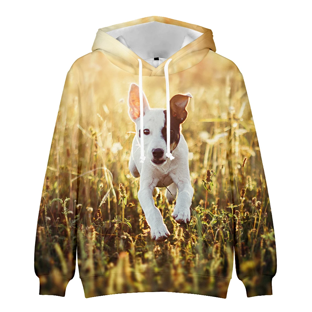 

Lovely Dog 3D Hoodies Men/Women Long Sleeve Hooded Sweatshirt Casual Streetshirt Funny Animal Oversized Hoodie Spring Autumn