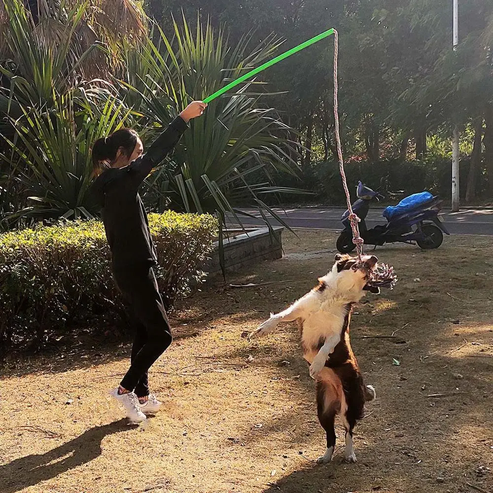 Забавная палочка для собак и щенков уличная Интерактивная веревка упражнений на