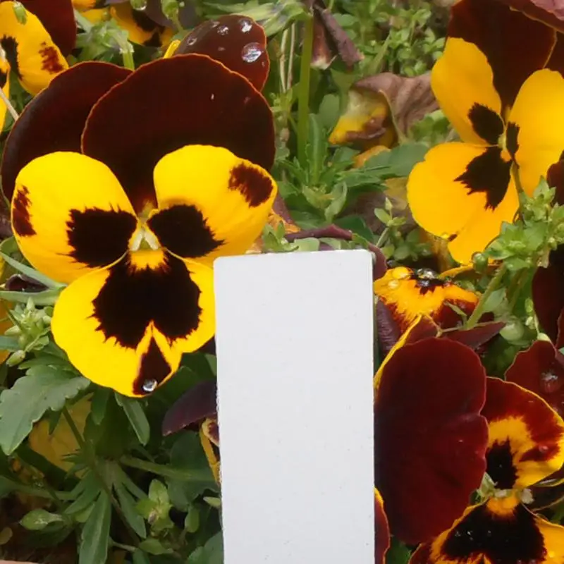 Набор маркеров для горшков 100 пластиковые ярлыки садовых цветов 4 дюйма | Дом и сад