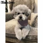 Регулируемый шейный платок для собак ZLC25, аксессуары для Бандан, галстук-бабочка, бандана, воротник, платок, французский Бульдог