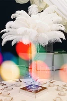 wholesale 10pcslot elegant white ostrich feathers 15 75cm for craft wedding party supplies carnival dancer decoration plumages