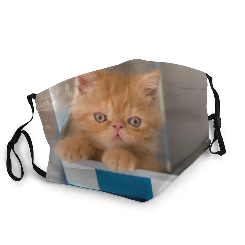 

Большой палец с полным покрытием Нескользящие экзотические короткошерстные лицевая маска для взрослых кошка маска Для мужчин против дымки...