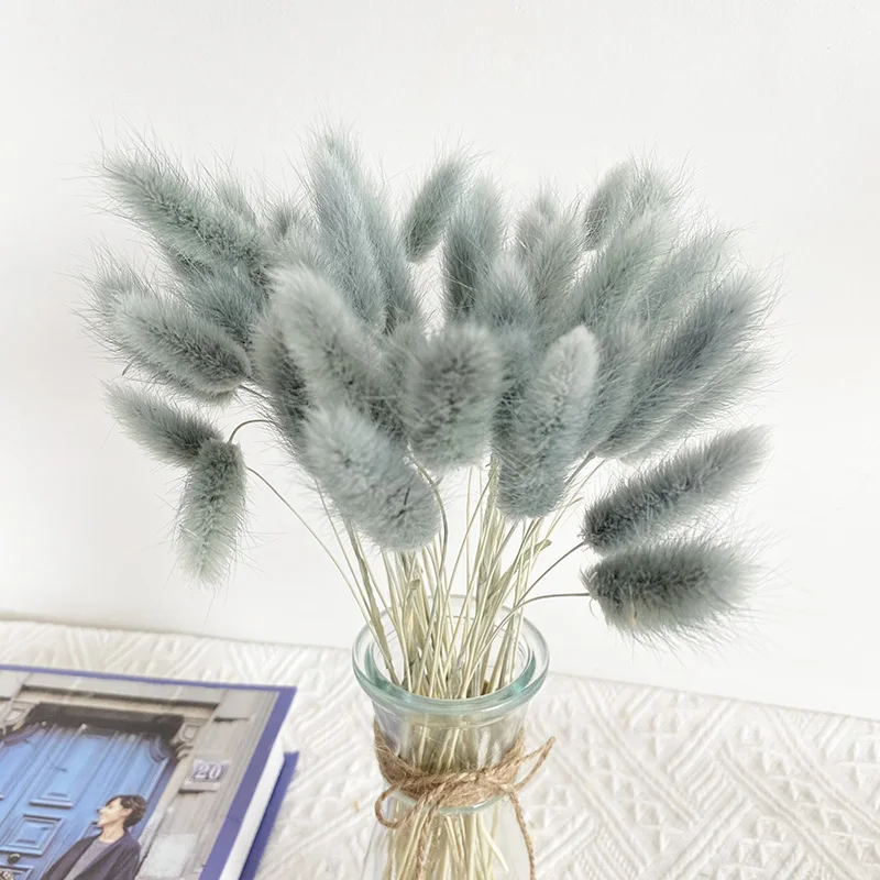 

20pcs Home Party Fashion Decor White Black Gray Natural Rabbit Tail Grass Dried Flowers Fleurs Sechees DIY Plush Bouquet