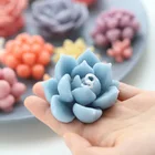 DIY суккулент силиконовые формы ароматическая свеча для изготовления мыла смолы Fondant (сахарная) Желейный пудинг торта ремесло принадлежности, домашний декор