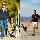 Поводок для собак, пояс для бега, спортивный регулируемый поводок для собак, светоотражающая полоска, аксессуары для домашних животных, безопасная Ночная ходьба, широко применяется