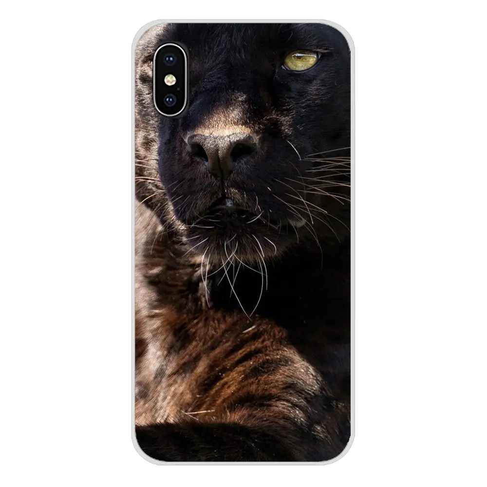Чехлы для телефонов Apple iPhone X XR XS 11Pro MAX 4S 5S 5C SE 6S 7 8 Plus ipod touch 5 6 с изображением черной