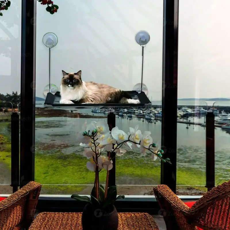

Cat window hammock seat elevated sunbed installation frame net