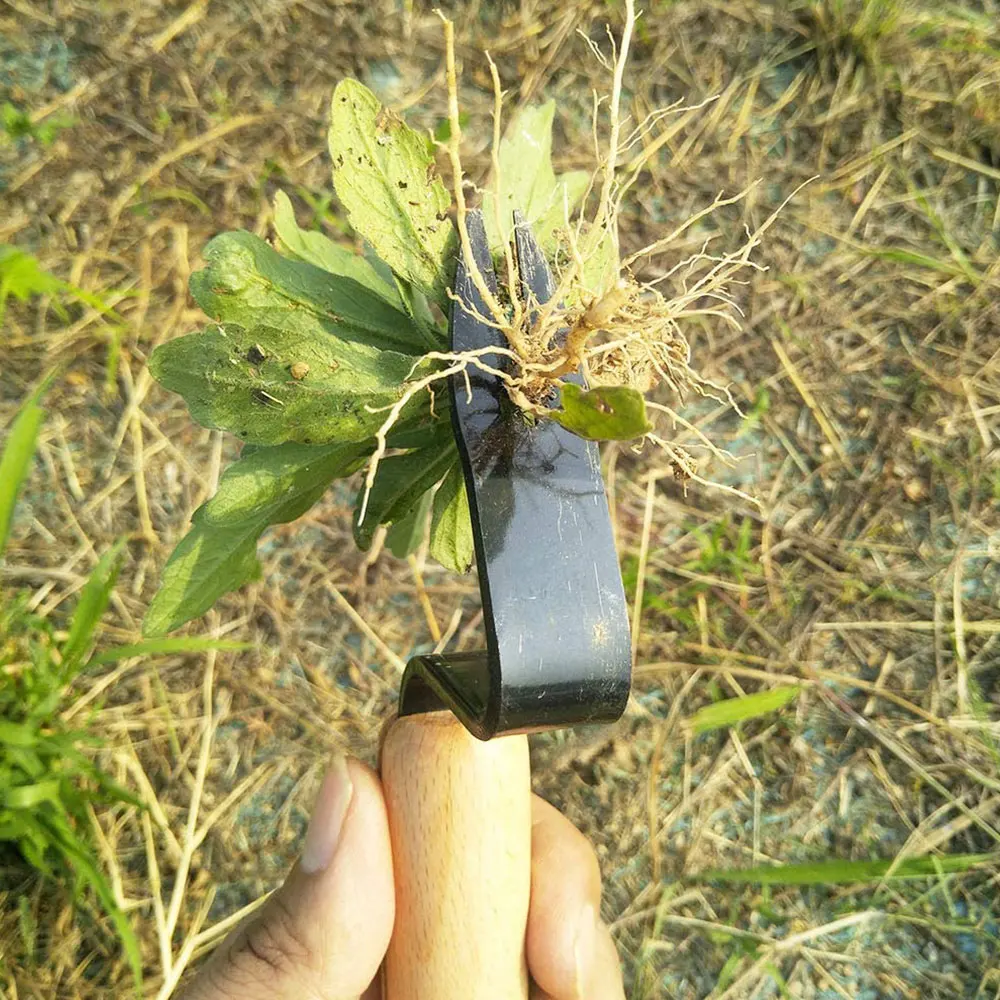 

Garden Hand Weeder Weed Puller Tool Carbon Steel with Wooden Handle for Garden Caring, Lawn Cleaning and Farmland Transplant