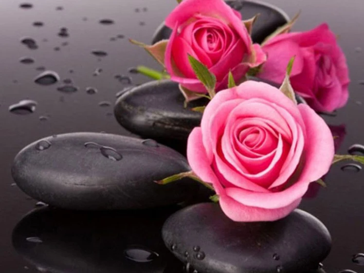 Алмазная 5D картина Цветы и камни круглые стразы вышивка 100% | Дом сад