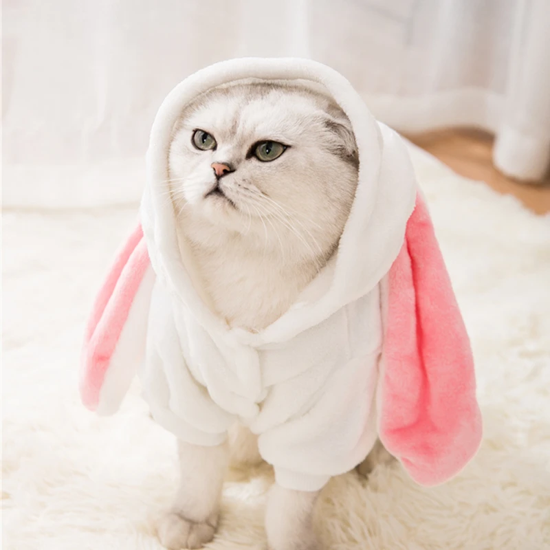 Hipidog Бесплатная доставка супер мягкая теплая зимняя одежда для собак худи