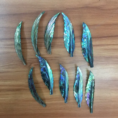 10 шт./лот ракушки абалона лист растение ручной работы для DIY ювелирные изделия серьги