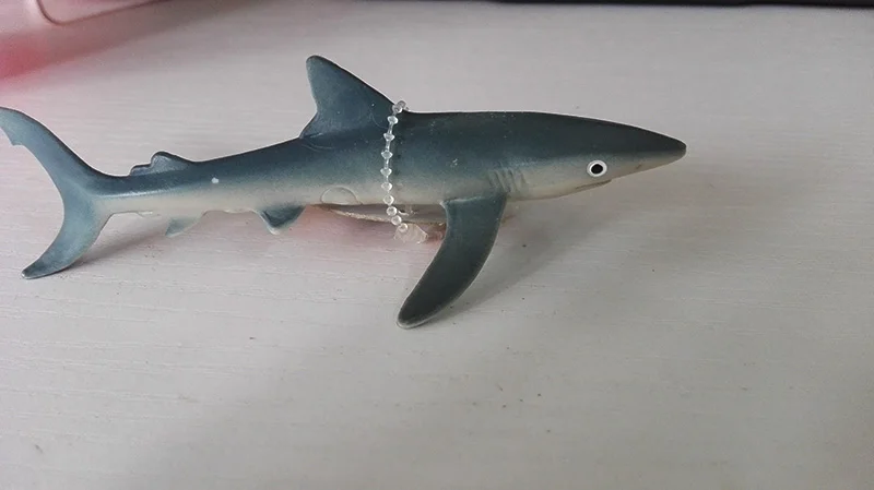 Оригинальные наборы животных океанов sealife, синий кит, Акула, челюсти, тигр, Кит-убийца, leatback, Детская обучающая игрушка, детский подарок - Цвет: little blue shark