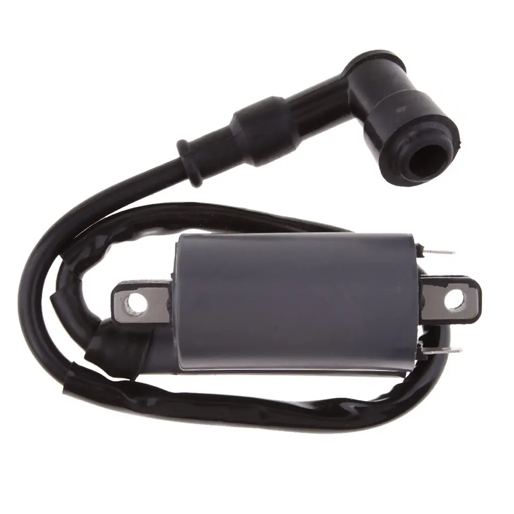 1 Кусок новой катушки зажигания для Buyang 300CC D300 G300 H300 PIT ATV Dirt Quad Bike Эффективный мотоцикл на.