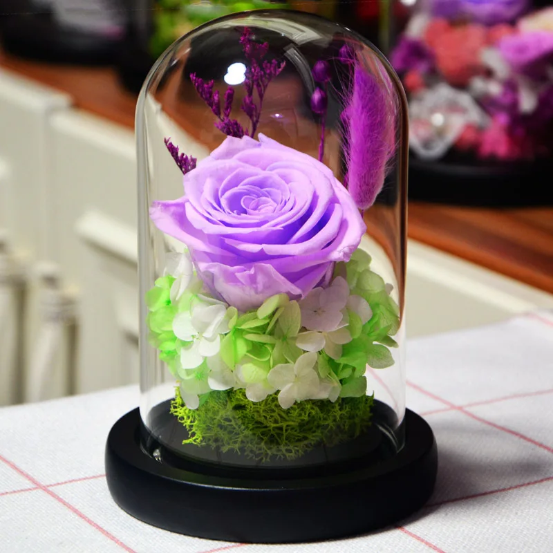 

Festive & Party Supplies