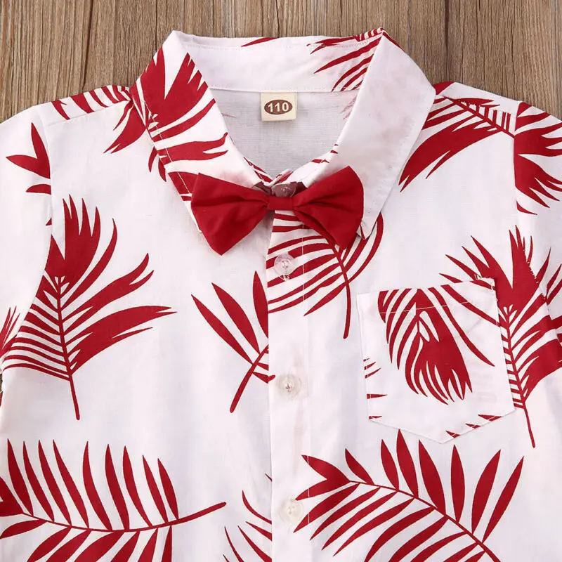 

Imcute Baby Spring Autumn Fashion Toddler Kids Baby Boy Summer Cartoon Tops T-shirt Pants Outfits Set Clothes