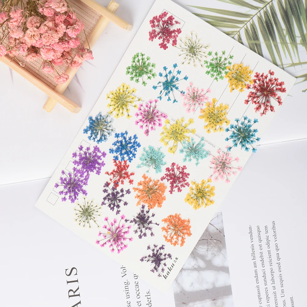 30 шт прессованный высушенный цветочный сухой подвеска с плодами растений