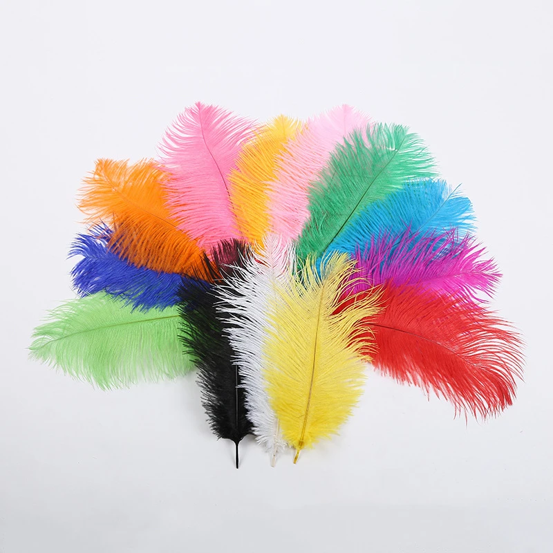 100 шт. декоративные перья для вазы 10 12 дюймов|Перо| |