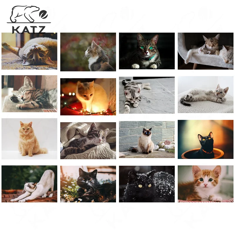 

Stretching Cat Pictures Diamond Embroidery Cross Stitch Kits Diy Handmade Home Decor Pet Diamond Embroidery Painting By Numbers