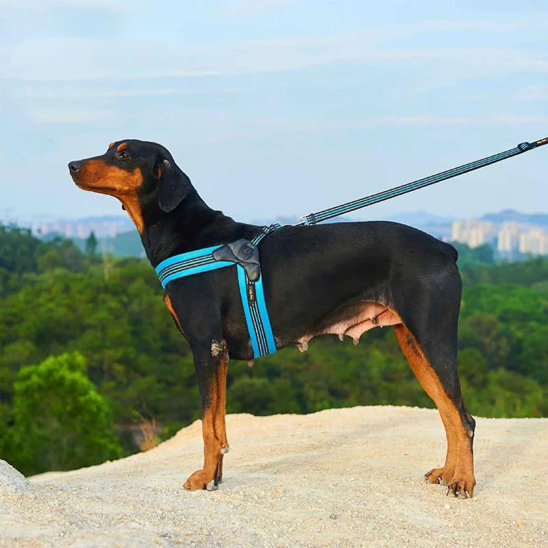 

Breathable Nylon Mesh Dog Harness Reflective Adjustable Dog Harness and Leash Set Dog Accessories Pet Collar Leash For Dogs